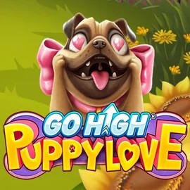 Go High Puppy Love slot logo by RubyPlay at Billybets Casino